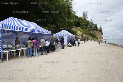 Gdynia Orlowo. Baltycki Festiwal Nauki. Piknik geologiczny...
