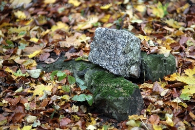 Pozostalosci cmentarza zydowskiego na  Krolewskim Wzgorzu...
