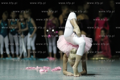 Dzien otwarty Dworku Artura w Gdansku Oruni. Nz pokaz...