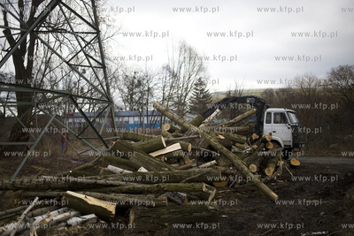 Wycinka drzew przy ul. Kochanowskiego w Gdańsku.
28.02.2017
fot....