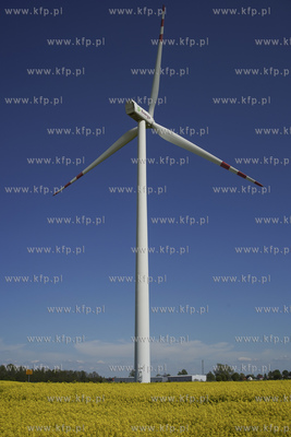 Farma wairtowa Bystra Grupy Energa zlokalizowana na...