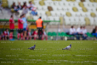 Gdansk. Stadion PGE Arena. Mecz z pewna wygrana - mecz...