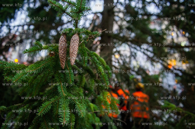 Gdansk. Dlugi Targ. Operacja stawiania swiatecznej...