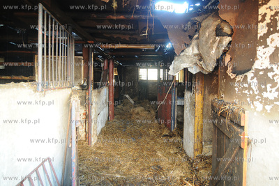 Reda k/Wejherowa. Stadnina Koni Pegaz po pozarze, w...