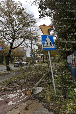 Sztormowa pogoda w Gdansku. Powalone drzewo przez wiatr...