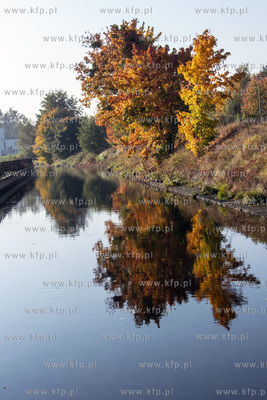 Kanał Raduni w Pruszczu Gdańskim. 18.10.2018 Fot....