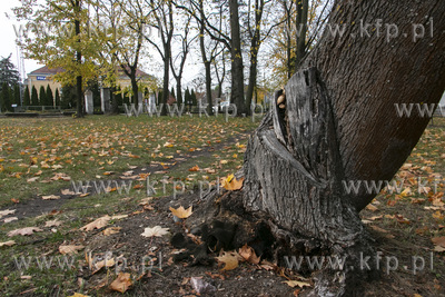 Nieistniejący cmentarz przy ulicy Wita Stwosza w Pruszczu...