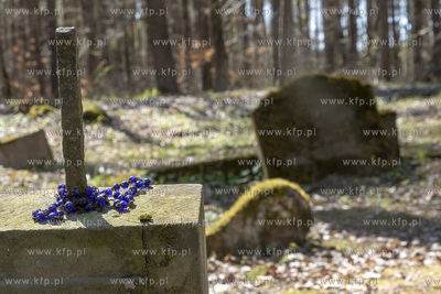 Dawny cmentarz ewangelicki w lesie w Żuławce w gminie...