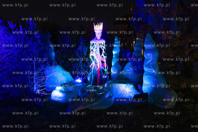 Przedpremierowy pokaz iluminacji w Lumina Park na terenie...