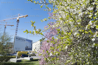 Gdynia Śródmieście. 19.04.2019 Fot. Anna Bobrowska...