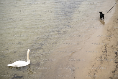 Święto Niepodległości w Sopocie. 11.11.2022 Fot....