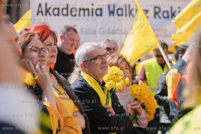 Gdańsk. Żonkilowa parada w ramach akcji Pola nadziei...