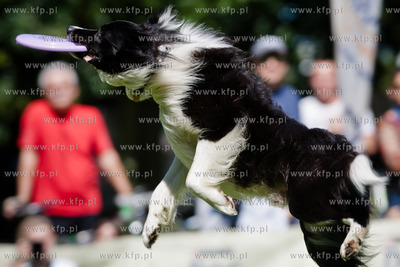 Sopot. Lazienki Polnocne. Trzecia kwalifikacja Dog...