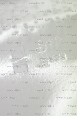 Gdansk. Jasien. Gimnazjum nr 48. Obwodowa komisja wyborcza...