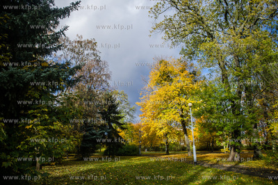 Gdańsk. Jesien w Parku Steffensa.
30.10.2016
fot....