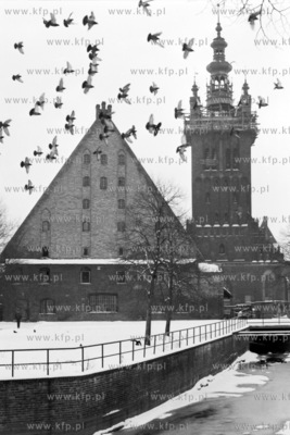 Zasniezona Wyspa Młyńska na kanale Raduni. Na drugim...