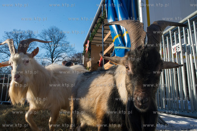 Słupsk. Po raz czwarty przez Słupsk przeszedł orszak...