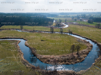 Wierzyca - rzeka w północnej Polsce, lewy dopływ...