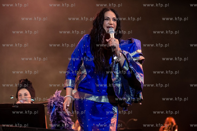 Festiwal Męskie Granie na parkingu Polsat Plus Areny...