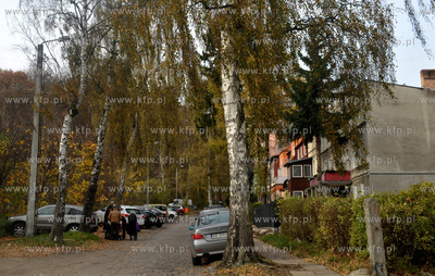 Gdansk Oliwa. ul. Tatrzanska. 1.11.2013 Fot. Maciej...