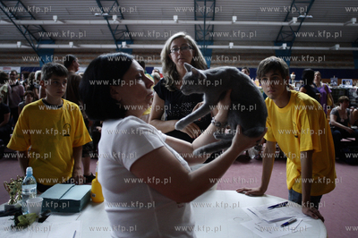 Sopot. Miedzynarodowa wystawa kotow.
08.08.2010
fot....