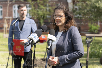 Na skwerze Daszyńskiego w Gdańsku posadzono dwa ambrowce...