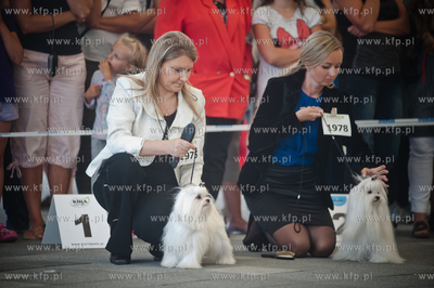 Gdansk. Teren przed stadionem PGE Arena. Miedzynarodowa...