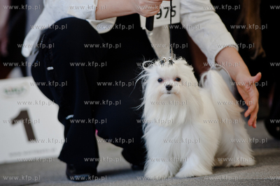 Gdansk. Teren przed stadionem PGE Arena. Miedzynarodowa...