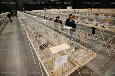 Gdansk. Gdansk. Amber Expo. 8. Miedzynarodowe Targi...