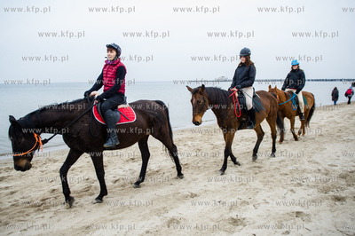 Sobotnia przejazdzka konna po plazy w Sopocie.
07.03.2015
fot....