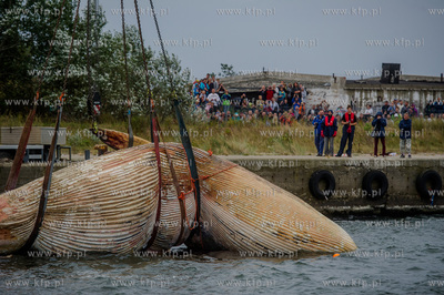 Port Wojenny na Helu. Akcja podnoszenia i transportu,...