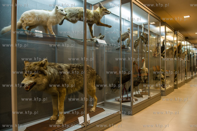 Uniwersytet Gdanski. Wydzial Biologii. Ekspozycja gadow,...