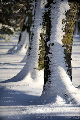 Gdansk Oliwa Park. Fragment parku z basenem parkowym.Poczatkiem...