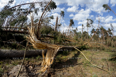 Skutki nawałnicy, która z piątku na sobotę przeszła...