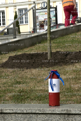 Uroczyste posadzenie magnolii na placu Jana Pawła...