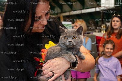 Międzynarodowa wystawa kotów rasowych "Koty na Hawajach"...