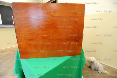 Wybory do Parlamentu Europejskiego 2009. Komisja nr...