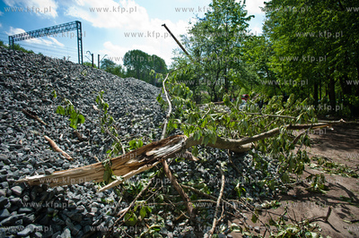 Gdynia Kolibki. Drzewa polamane przez burze.
19.05.2013
fot....
