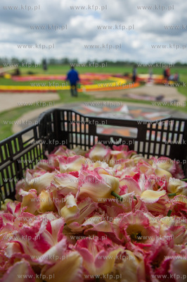 Mokry Dwor. Przygotowania do kolejnej edycji imprezy...