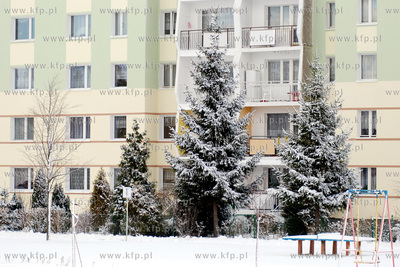 Zima w Rumi. Osniezone swierki przed blokami na ul....