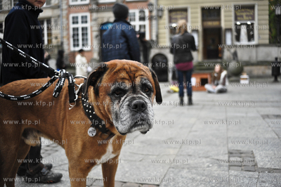 Akcja protestacyjna pt. Zerwijmy lancuchy! zorganizowana...