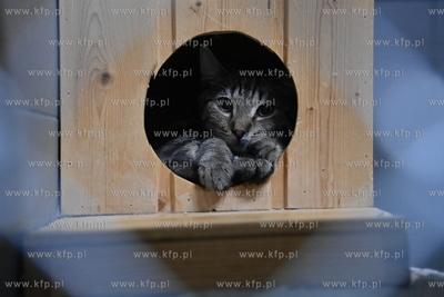 Dzień otwarty w Sopotkowie. 
8.12.2024
fot. Wojciech...