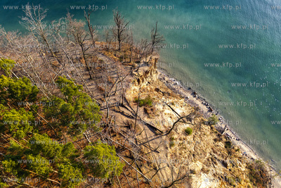 Obsypujący się Klif Orłowski w Gdyni Orłowie.
17.01.2025
fot....