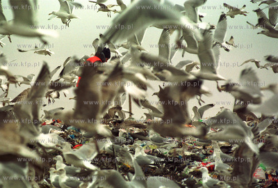 Zaklad Utylizacyjny w Gdansku Szadolkach. Protestujacy...