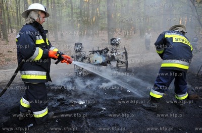 Na lesnej drodze pomiedzy Sulminem gmina Zukowo, a...