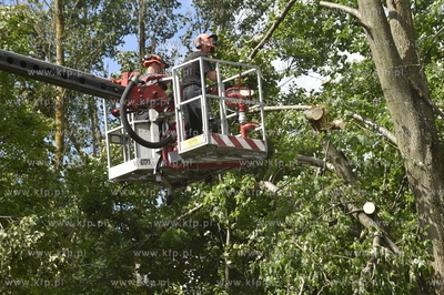 Skutki wichury na Pomorzu.  Raduń na Kaszubach, gmina...
