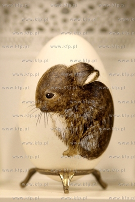 Dwor Artusa w Gdansku. Sala Makiety. Wystawa Jaja w...