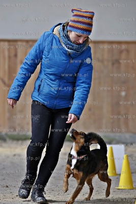 Sopot. Hipodrom. Psie zawody o Puchar Planet Pet Society...