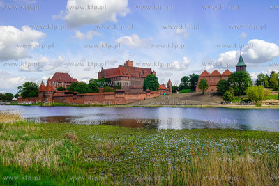 Zamek w Malborku nad Nogatem wzniesiony przez zakon...