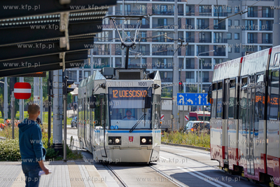 Morena. ALSTOM NGD99 na przystanku Warneńska. 30.07.2024...